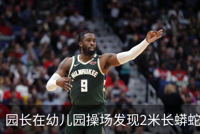 园长在幼儿园操场发现2米长蟒蛇,警察赶到后却听到其腹腔传来哭声