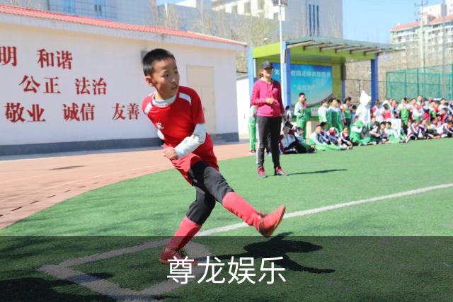 尊龙娱乐公司简介图